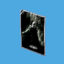 <b>Poster: Batman</b><br><small>A poster you can use to decorate your condo with.</small><br><small>35 GMC</small><br>