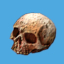 <b>Bone</b><br><small>An ingredient to make smoothies with the blender.</small><br><small>35 GMC</small><br>