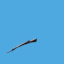 <b>Duel - M1 Garand</b><br><small>Duel a single player on the server for GMC or for fun. One time use.</small><br><small>200 GMC</small><br>