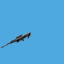 <b>Duel - Snipers</b><br><small>Duel a single player on the server for GMC or for fun. One time use.</small><br><small>200 GMC</small><br>