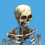 <b>Skeleton</b><br><small>Spooky scary skeletons send shivers down your spine.</small><br><small>14,000 GMC</small><br>