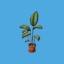 <b>Office Plant</b><br><small>A tall plant that fits any place.</small><br><small>30 GMC</small><br>